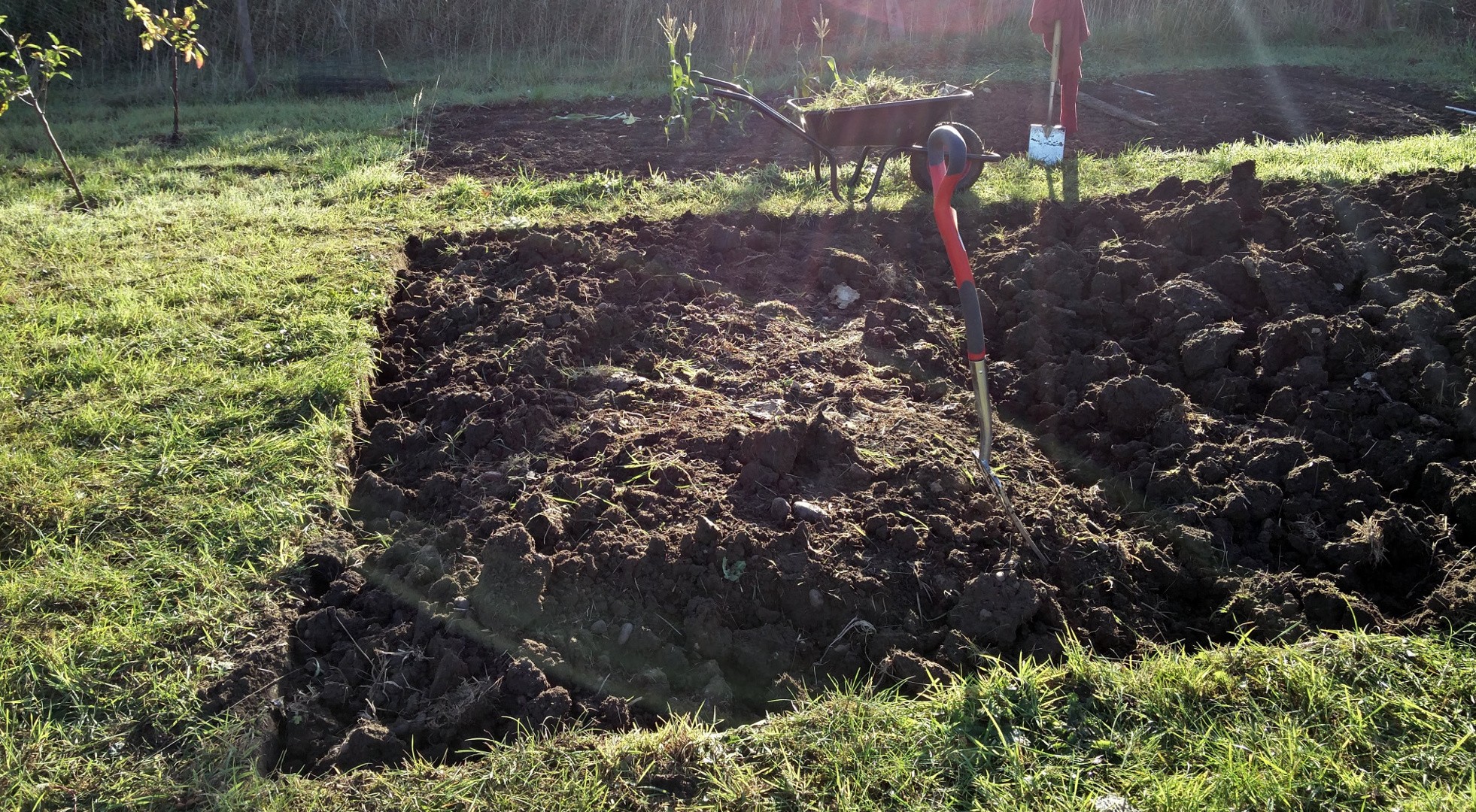 Turning over the soil of a newly created allotment bed
