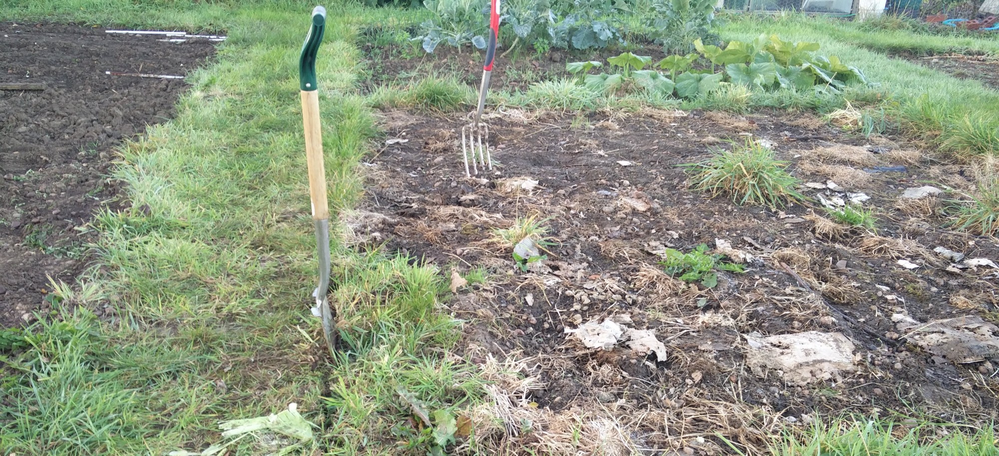 Cutting out the edge of the bed with a spade