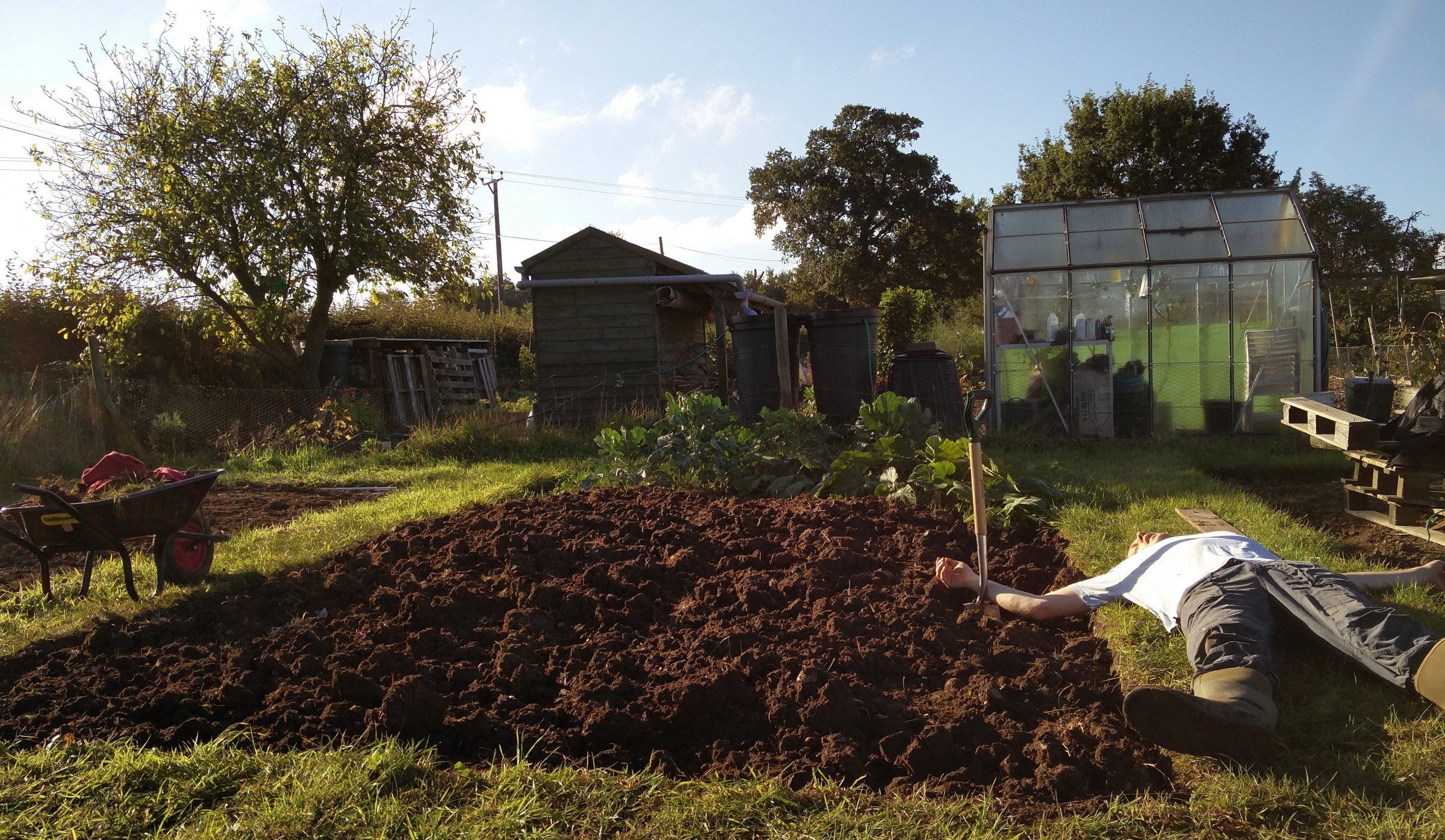 A freshly dug allotment bed in the traditional style