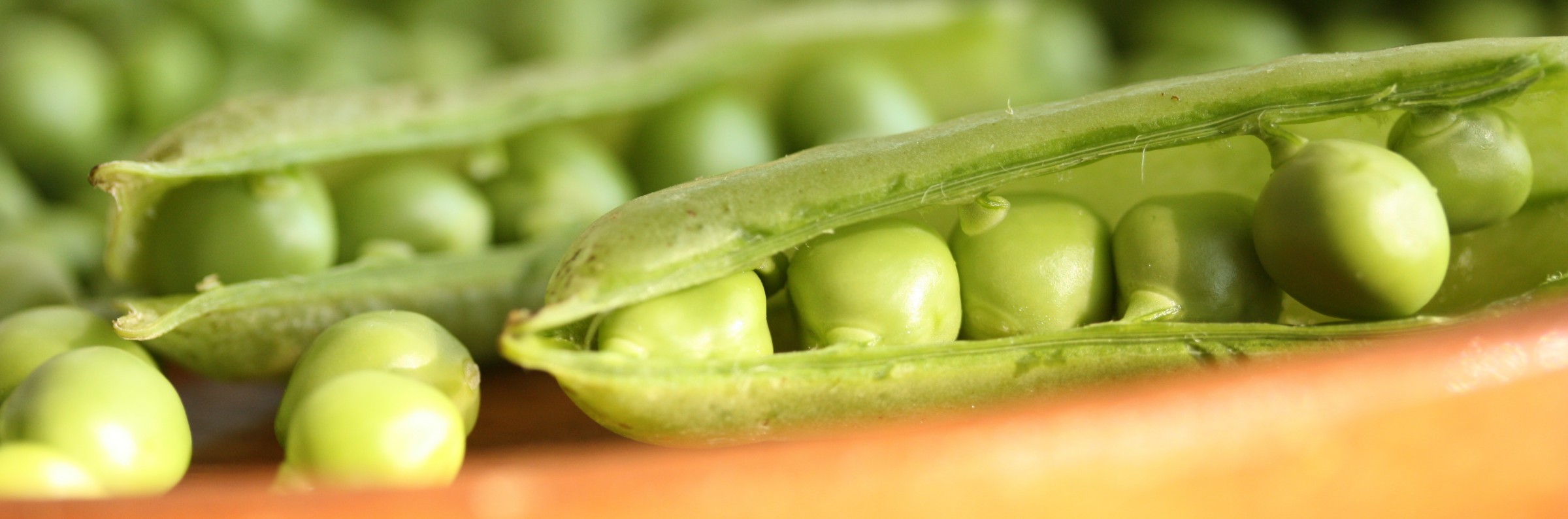 Peas nestling in the pod