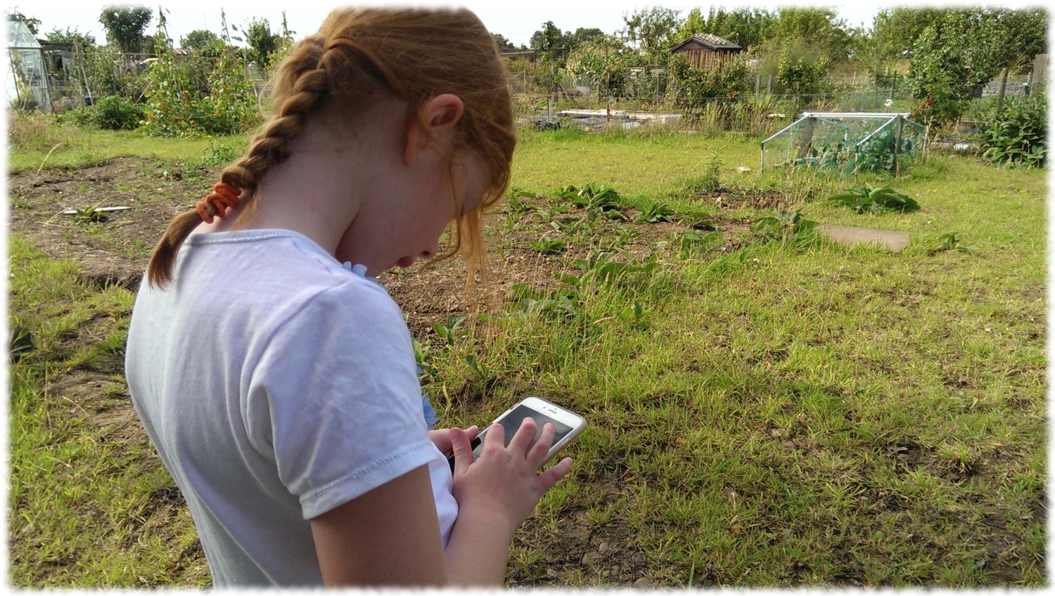 Our vegetable garden planning software is fully functional on phones and tablets