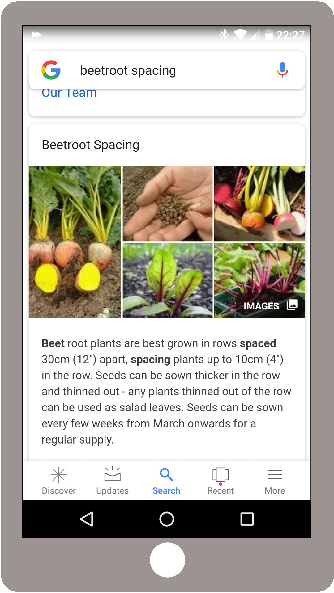 phone screenshot of google results for beetroot spacing