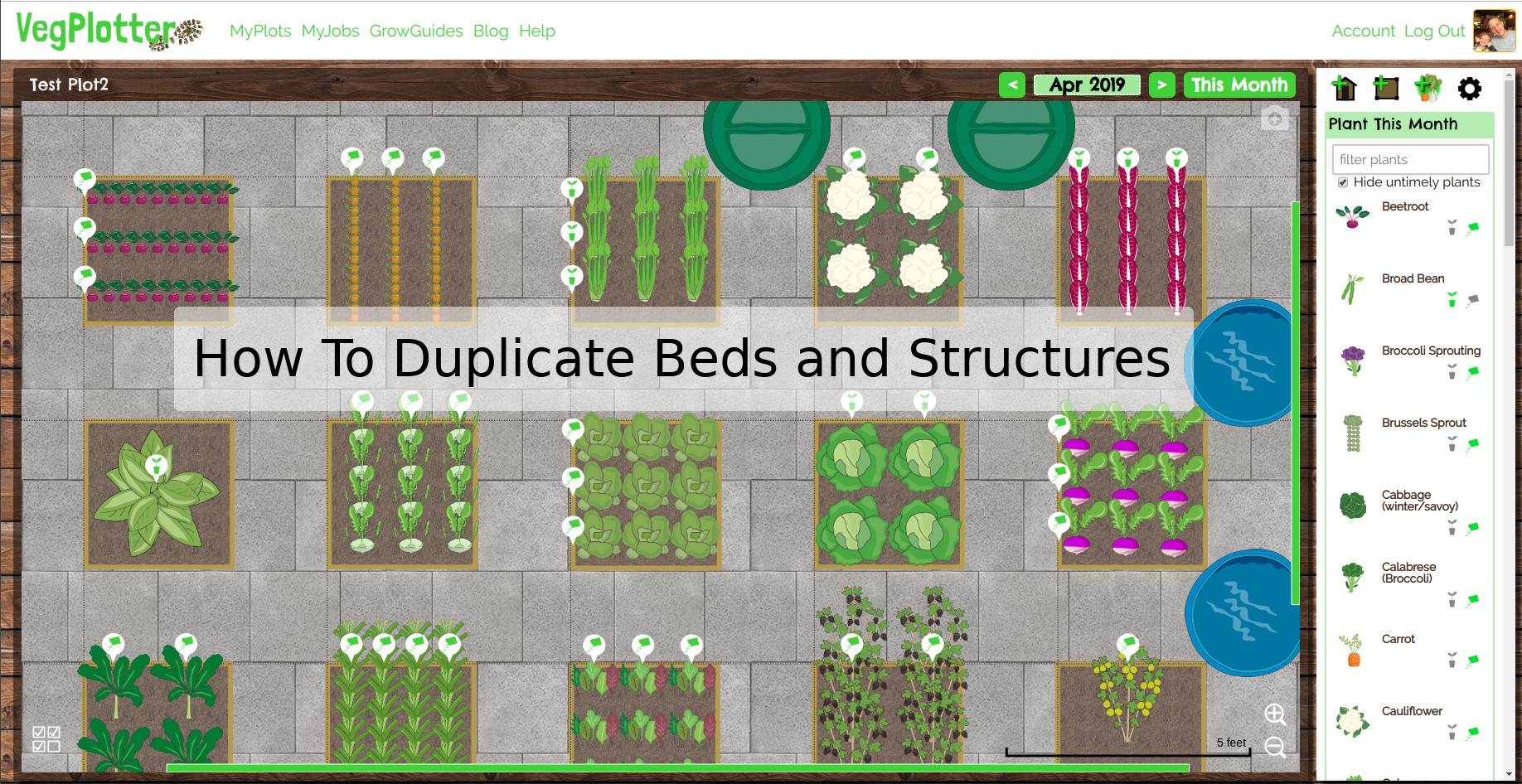 You can quickly design your vegetable garden using the duplicate feature of VegPlotter.