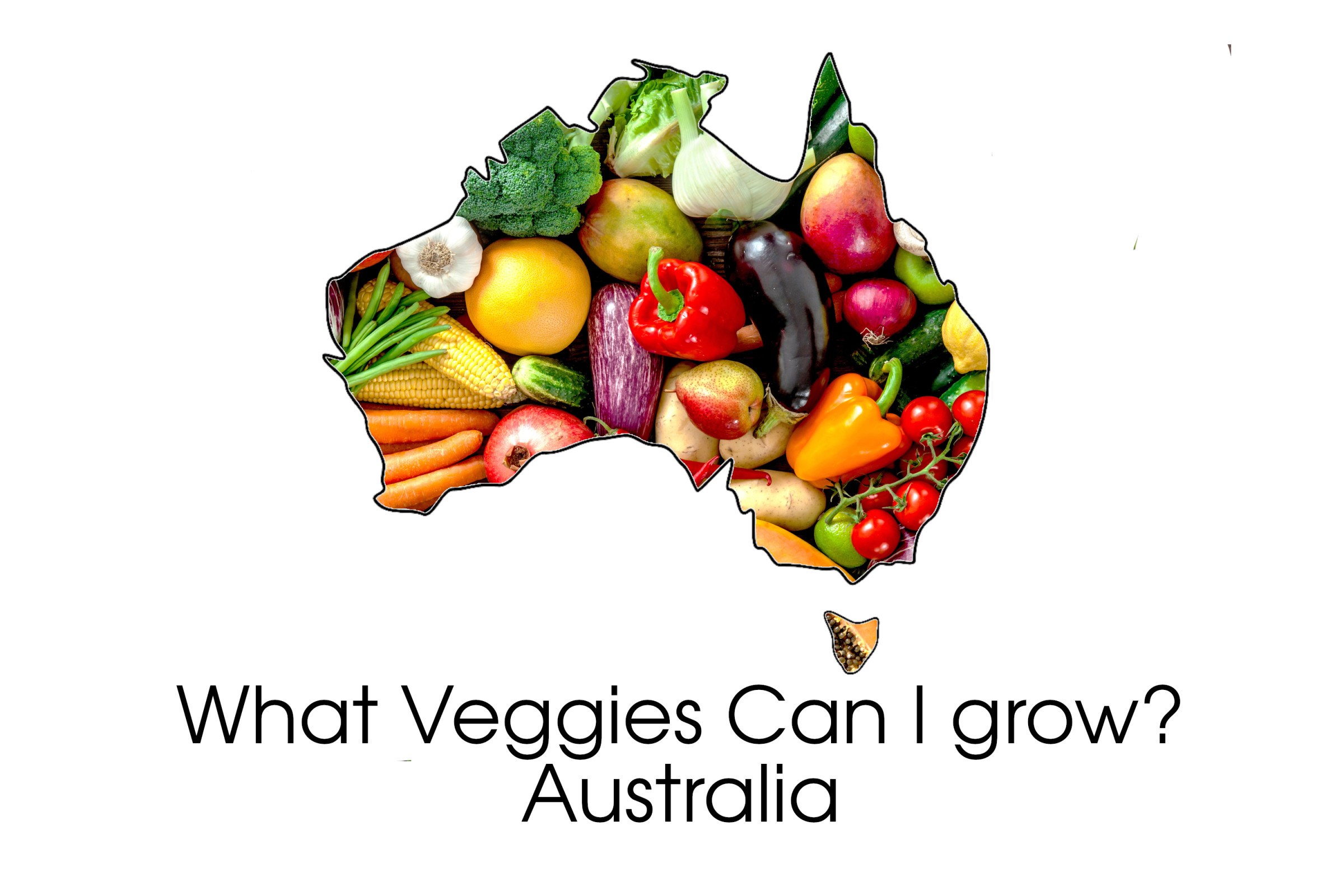 Need some inspiration on what Veggies to grow in your area?