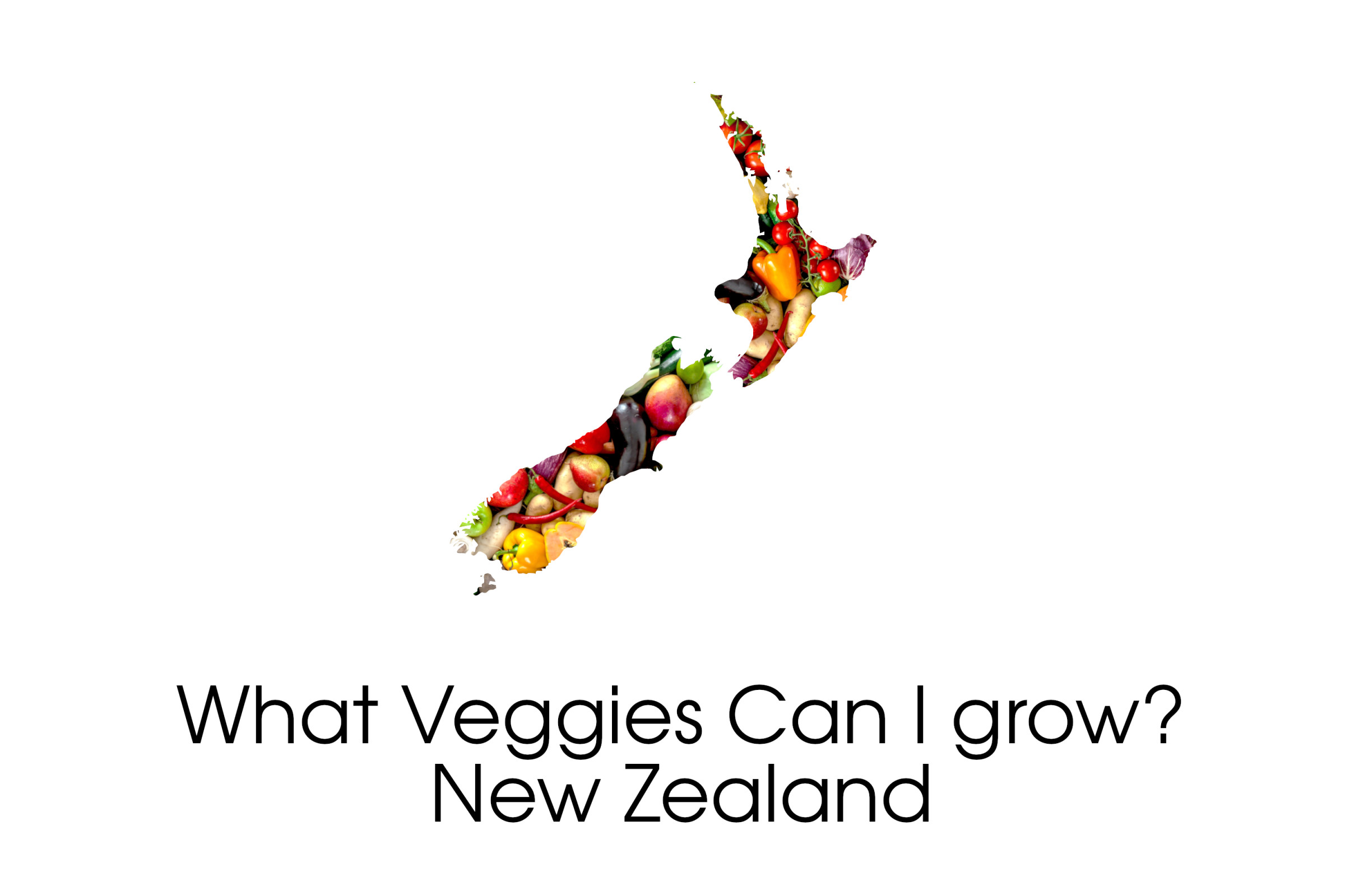 Need some inspiration on what Veggies to grow in your area?
