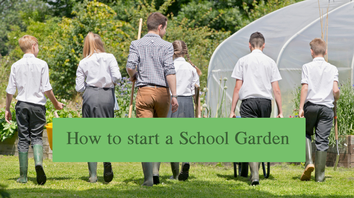 How to make your school garden a roaring success