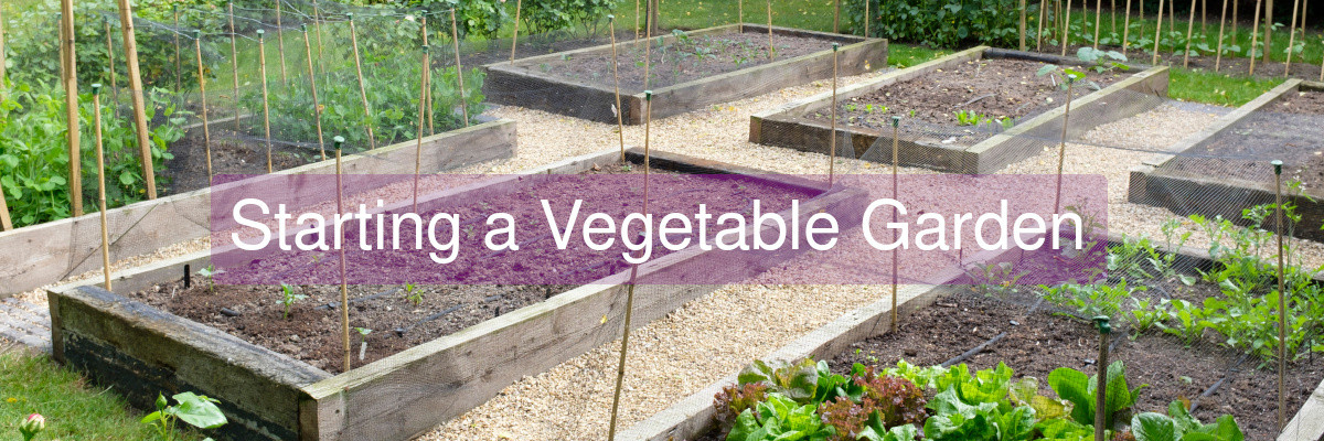 Some useful tips for those starting a vegetable garden