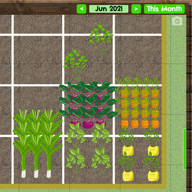 Vegetable Garden Plan showing square foot gardening planting approach