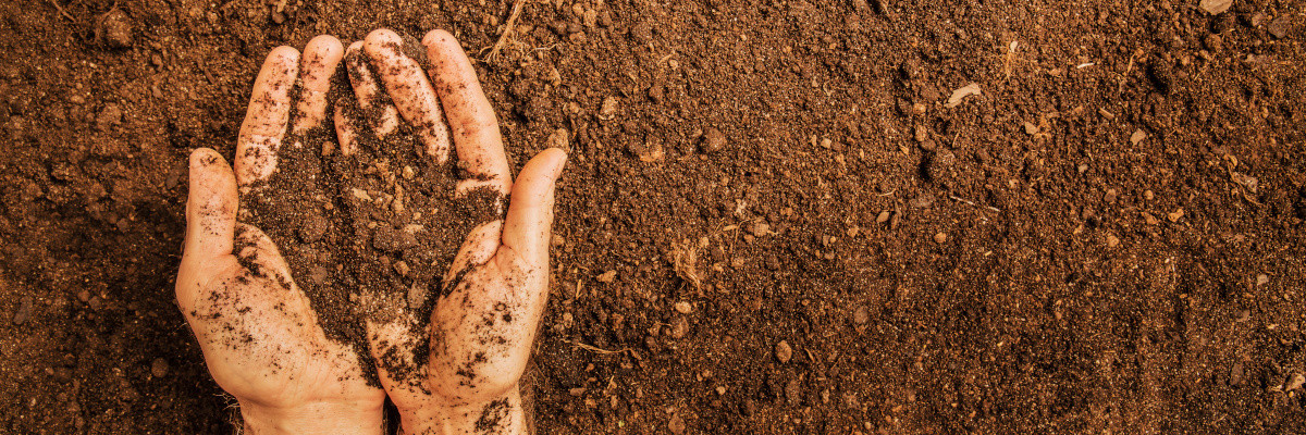 Preparing your soil is incredibly important for good harvests