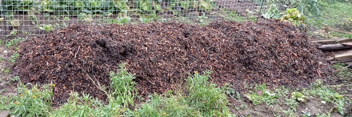Compost piled to create a raised bed with no sides