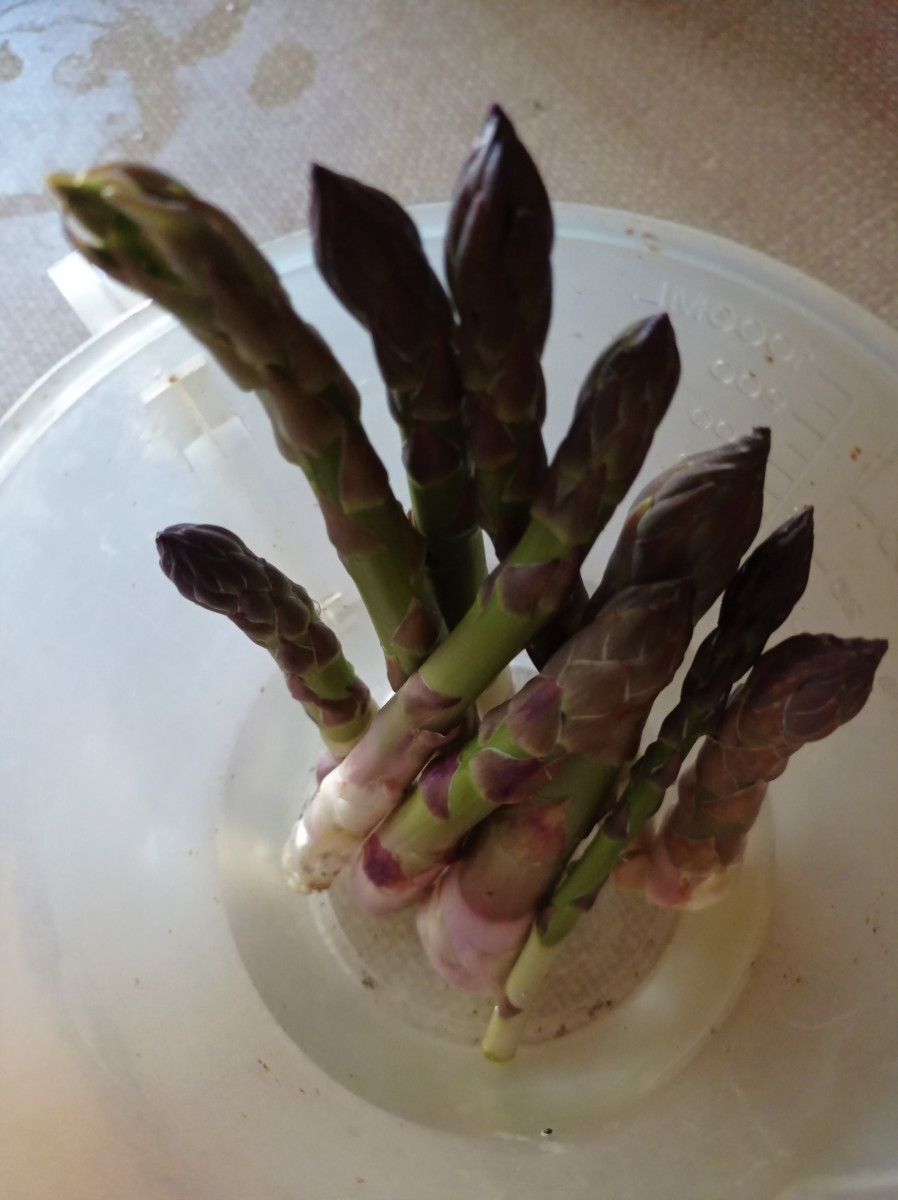 Asparagus spears