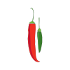 Chilli plant icon form VegPlotter's Vegetable Garden Planner