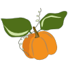 Pumpkin icon form VegPlotter's Vegetable Garden Planner